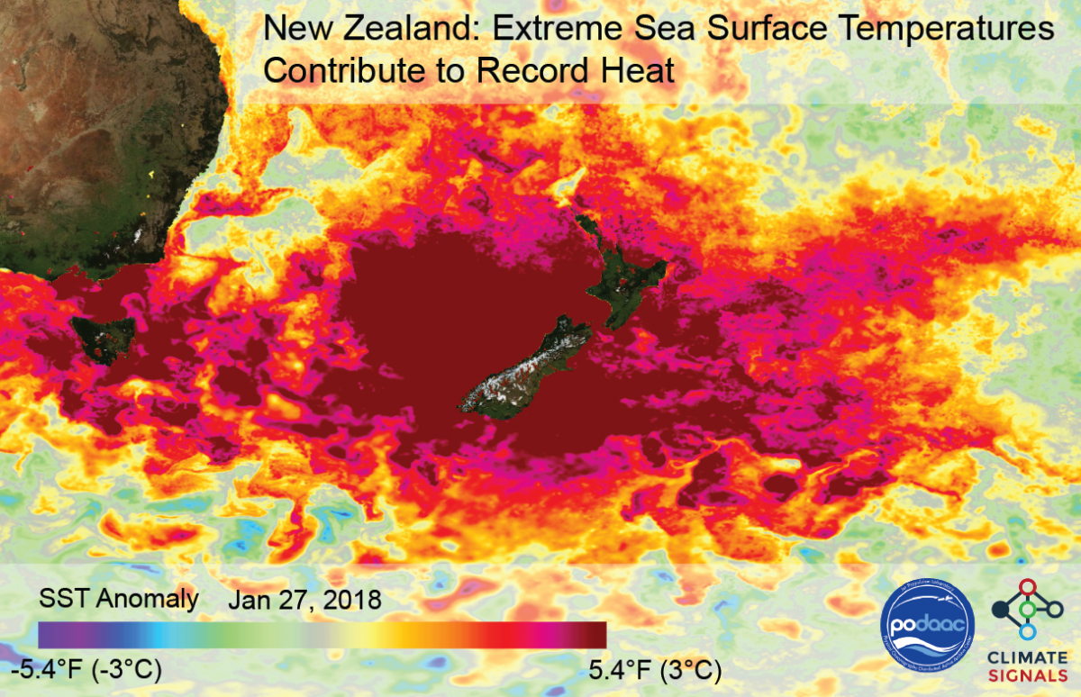 Climate Signals New Zealand heatwave sparks health alerts and