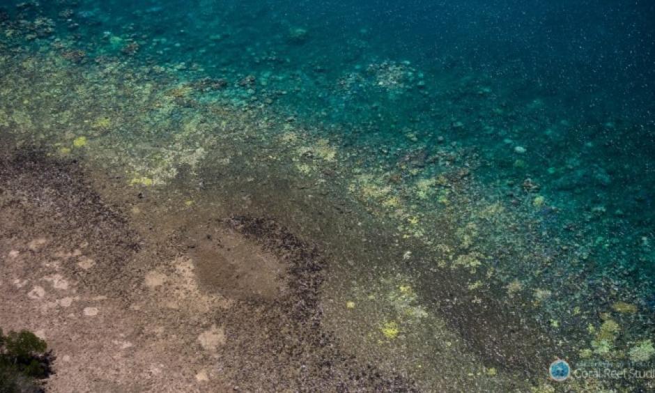 Extensive coral bleaching (white/yellow patches) documented on the Great Barrier Reef during aerial surveys in March 2016. Photo: ARC Centre of Excellence for Coral Reef Studies