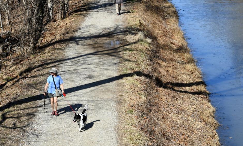 In shorts and a T-shirt, Sara Walters and her dog, Rolo, walk along the C&O Canal towpath on Wednesday. Photo: Katherine Frey, The Washington Post