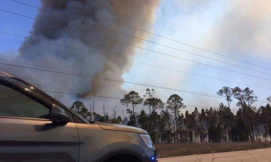 Hundreds of acres of mostly undeveloped grassland in Miami-Dade County burned this weekend. Photo: Associated Press