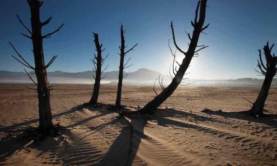 Bare sand and dried tree trunks stand out on May 10, 2017, at Theewaterskloof Dam, near Villiersdorp, about 40 miles east of Cape Town, South Africa. The dam had less than 20% of its water capacity at that point, and water levels are now even lower. Photo: Rodger Bosch/AFP/Getty Images