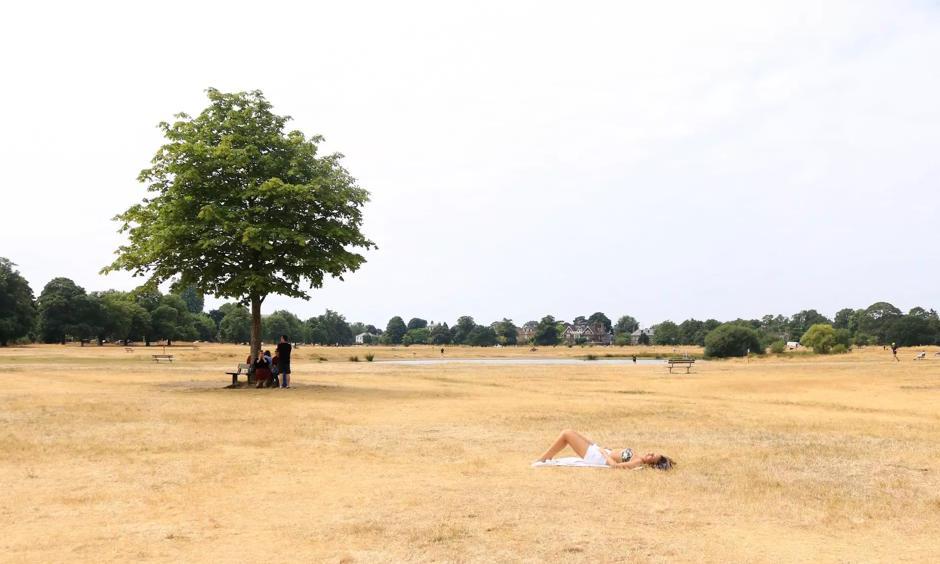 A woman sunbathes on the burnt dry grass on Wimbledon Common in London, caused by a prolonged summer heatwave, July 2918. Photo: Amer Ghazzal, REX/Shutterstock