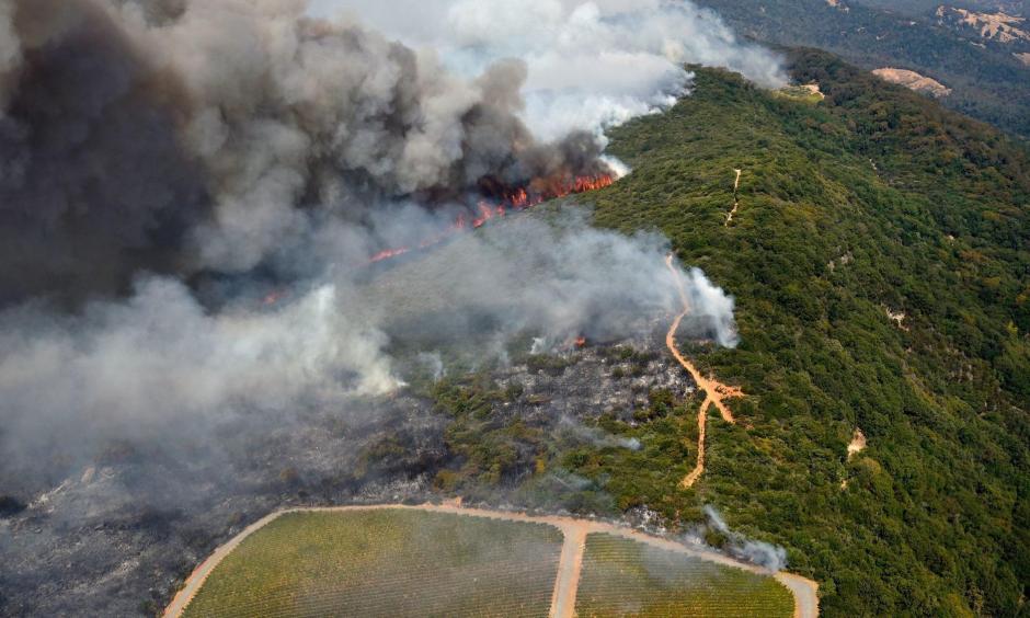 Smoke rises near a vineyard as a wildfire burns in the hills north east of Napa in October. Photo: Michael Short / Associated Press