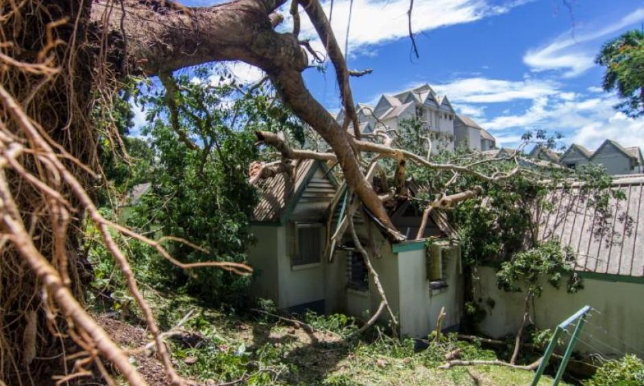A tree uprooted by Cyclone Winston lays in the roof of a house in Fiji's capital Suva, February 21, 2016. Photo: Emma Stadelmann, Handout via Reuters