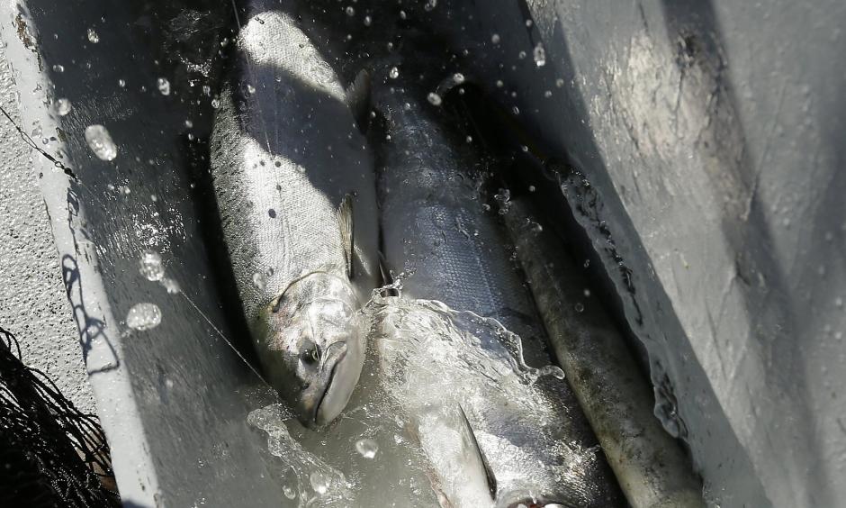Photo: Eric Risberg, Associated Press