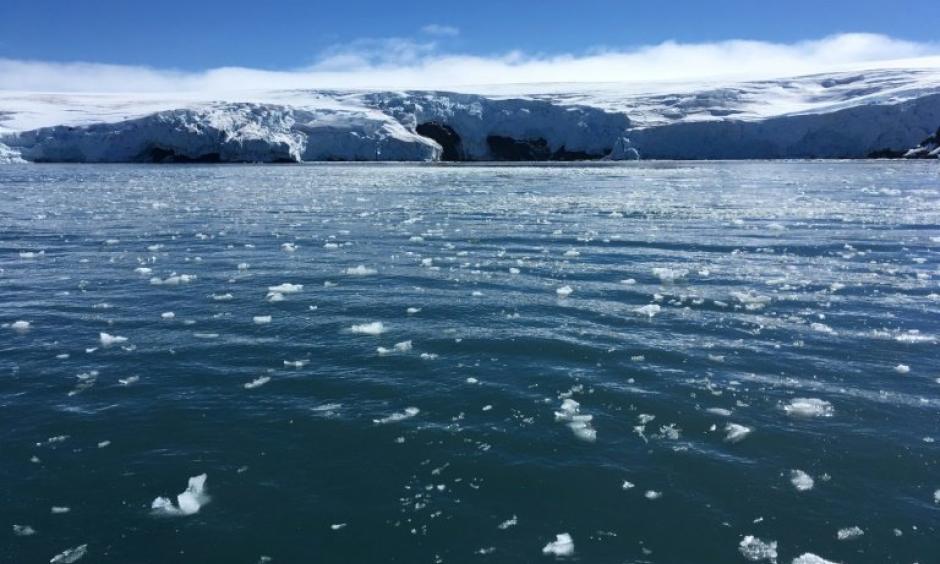 Sea ice cover in Antarctica has dropped to its second-lowest on record, Australian authorities say, adding that it is not yet clear what is driving the reduction after several years of record-highs. Photo: Phys.org