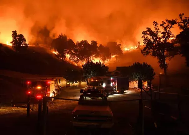 Image of trees burning.