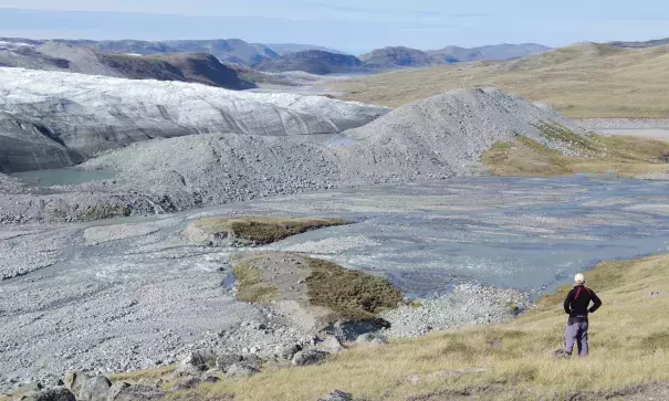 Large areas of ice in Greenland have been replaced by barren rock, wetlands and shrub growth. (Credit: Michael_PhD via The Guardian)