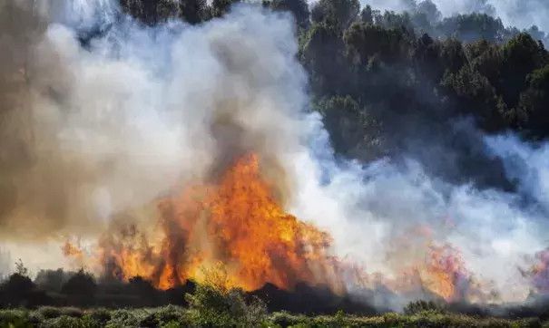 Wildfires advance towards the eastern town of Palma de Gandia in Valencia, Spain, on 3 November. (Credit: Andreu Esteban/AP)