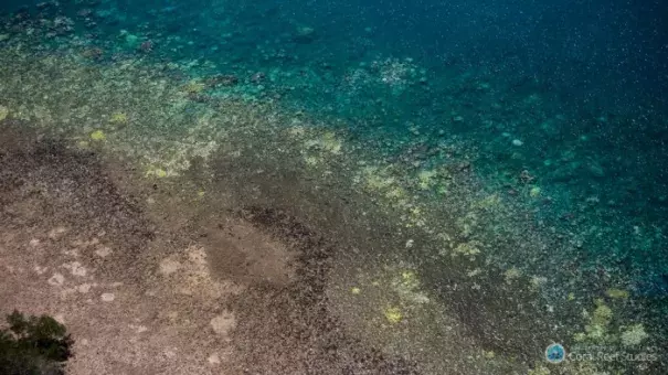 Extensive coral bleaching (white/yellow patches) documented on the Great Barrier Reef during aerial surveys in March 2016. Photo: ARC Centre of Excellence for Coral Reef Studies