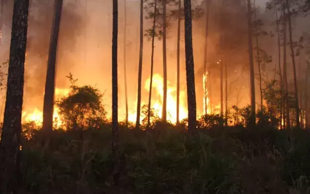The West Mims Fire reportedly started after a lightning strike on April 15 and spread through Georgia's Okeefenokee Wildlife Reserve, covering more than 21,000 acres by April 17. Photo: USFWS and Georgia Forestry Commission, Twitter 
