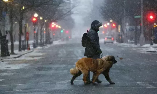 A man walks his dog through the empty streets of Boston as snow begin to fell Thursday. Photo: Spencer Platt, Getty Images