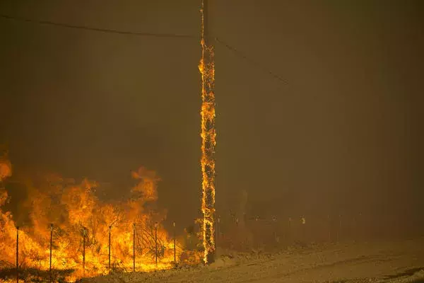 A power pole burns as the Blue Cut fire rages along both sides of Highway 138 in Summit Valley. Photo: Gina Ferazzi / Los Angeles Times