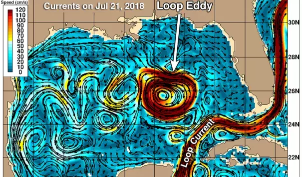 Ocean currents in the Gulf of Mexico as depicted by the U.S. Navy HYCOM model on July 21, 2018. Credit: US Navy