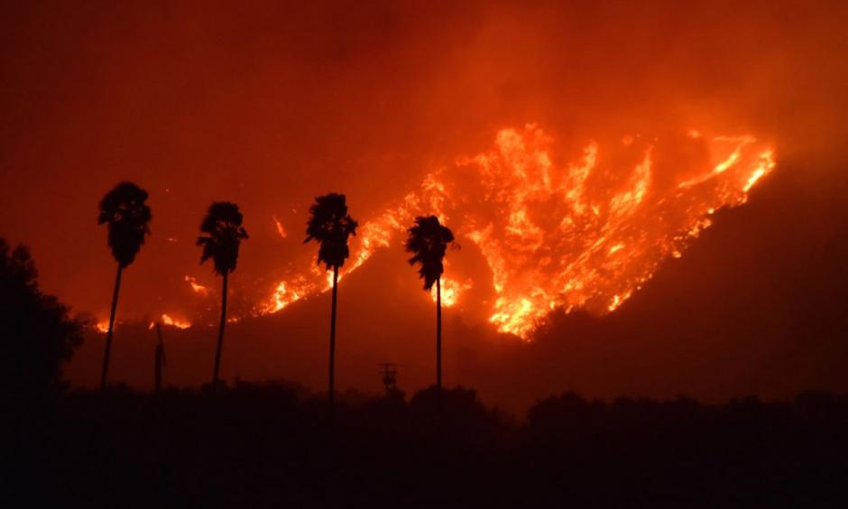 Palm trees are silhouetted by flames from the Thomas Fire, which had charred an estimated 25,000-30,000 acres north of the city of Santa Paula in Ventura County Monday night. (Ryan Cullom / Ventura County Fire Department photo)
