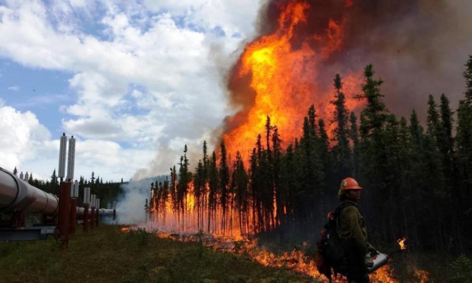 The Aggie Creek fire burns along the Trans-Alaska Pipeline in June. Photo: USDA/ flickr
