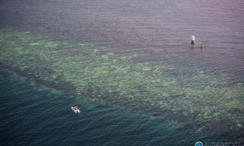 Bleaching of the Great Barrier Reef observed by aerial survey. Photo: Terry Hughes, ARC Centre of Excellence for Coral Reef Studies)