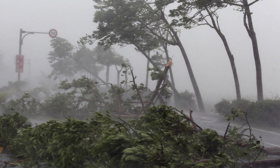 Photo: Xinhua News Agency, Getty Images