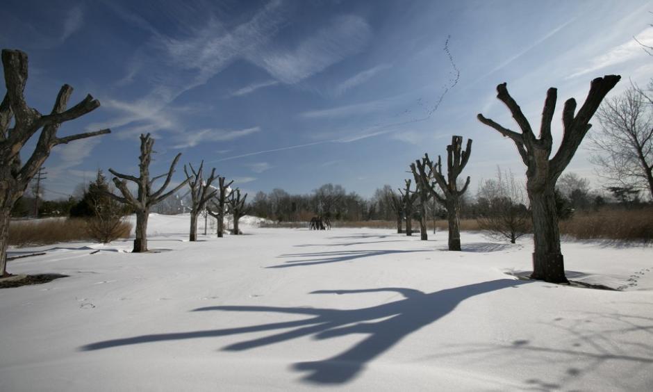 Scenic New Jersey after the weekend winter storm, Grounds For Sculpture in Hamilton. Photo: Michael Mancuso, NJ.com