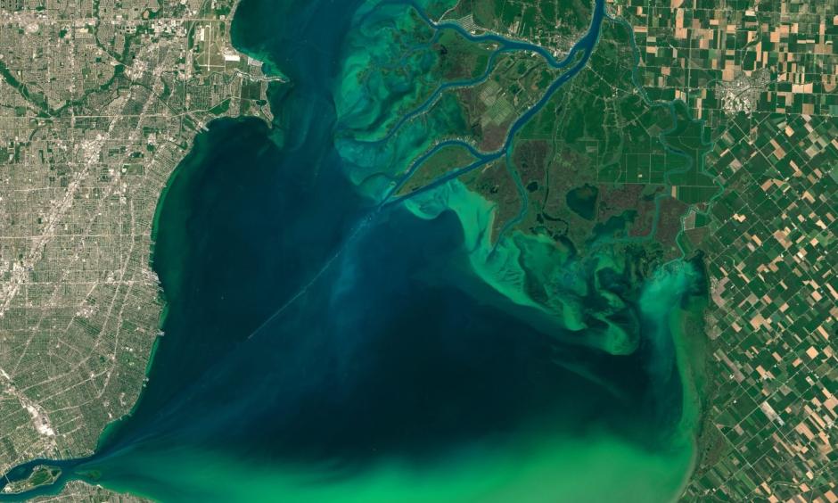 An image captured by Operational Land Imager on the Landsat 8 satellite of algal blooms around the Great Lakes, visible as swirls of green in this image of Lake St. Clair and in western Lake Erie. Photo: EPA/NASA /Goddard’s MODIS Rapid Response Team
