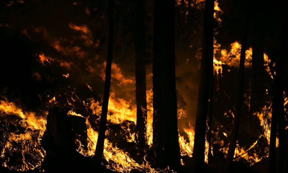 A wildfire chews through fuel in Conconully, threatening houses and prompting a level three evacuation Friday August 21, 2015. Photo: Bettina Hansen / The Seattle Times