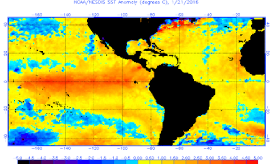 the wide view of anomalies that includes the Gulf and much of the Atlantic