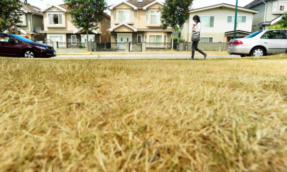 Record-breaking temperatures and extremely low rainfalls across Western Canada are causing chaos for farmers and firefighters this summer as they grapple with the worst drought in more than a decade. Photo: Jason Payne