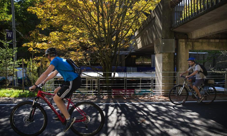 Bicyclists pass by a tree starting to show the season’s changes on the Burke-Gilman Trail at the University of Washington campus on Wednesday. Photo: Lindsey Wasson / The Seattle Times