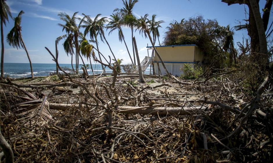 Plant debris sits outside of the damaged Caribe Playa Beach Resort after Hurricane Maria in Patillas, Puerto Rico, on Oct. 6. Photo: Xavier Garcia, Bloomberg