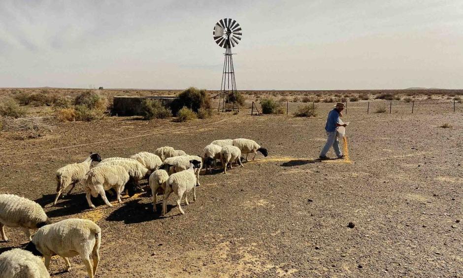 Climate change is increasing drought risk