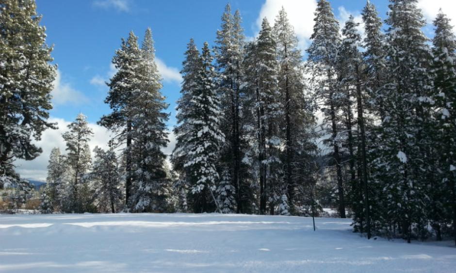Several December storms brought snow to the Sierra Nevada. This view is from December 4, 2015 at Donner Memorial State Park in Truckee, Calif. Image: Woranuch Joyce, Capital Public Radio
