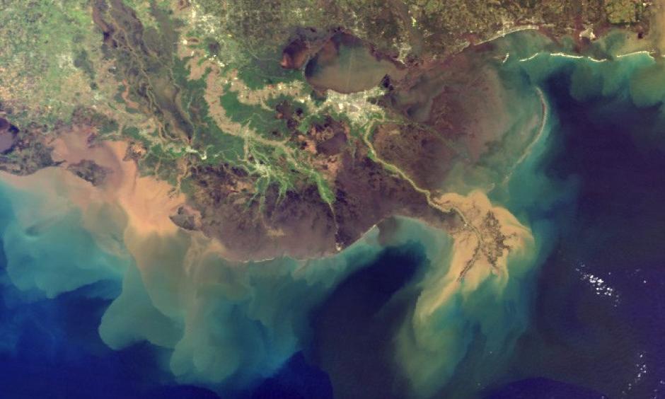 The Mississippi River Delta. Photo: NASA