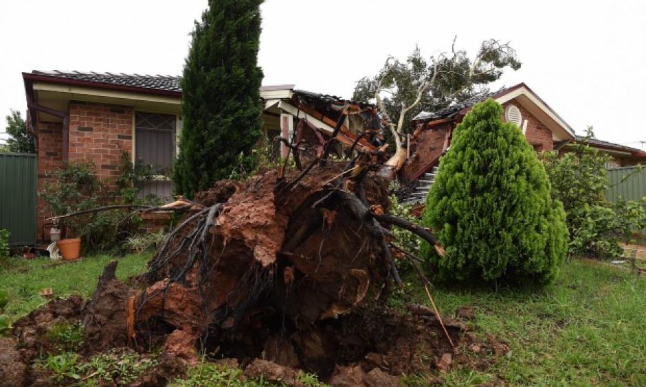 Sydney cleans up after a scorching 40-degree day was swept away by ferocious storms. Photo: Kate Geraghty