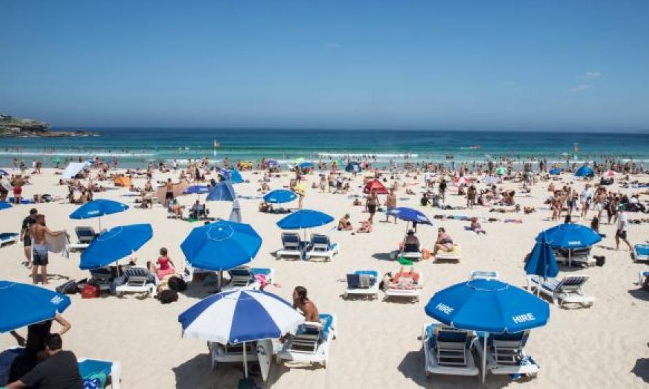 Some like it hot: NSW state records were swept away in latest heatwave. Photo: Jessica Hromas