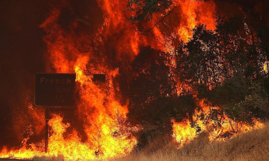 Flames from the Carr Fire burns through trees along highway 299 on July 27, 2018 near Whiskeytown, California. Photo: Justin Sullivan, Getty Images