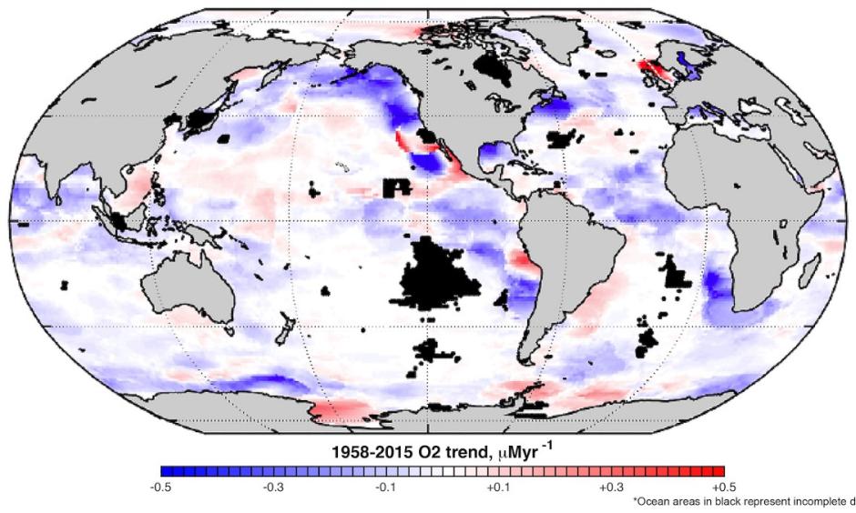 Much of the ocean is seeing sharp drops in oxygen levels (purple). Photo: Georgia Tech