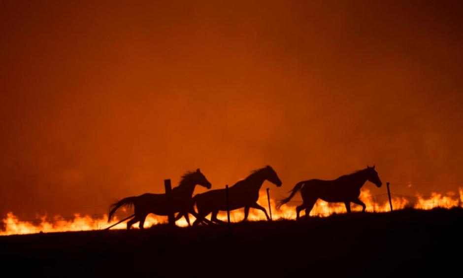 Climate change made the 2019-2020 bushfire season in Australia worse