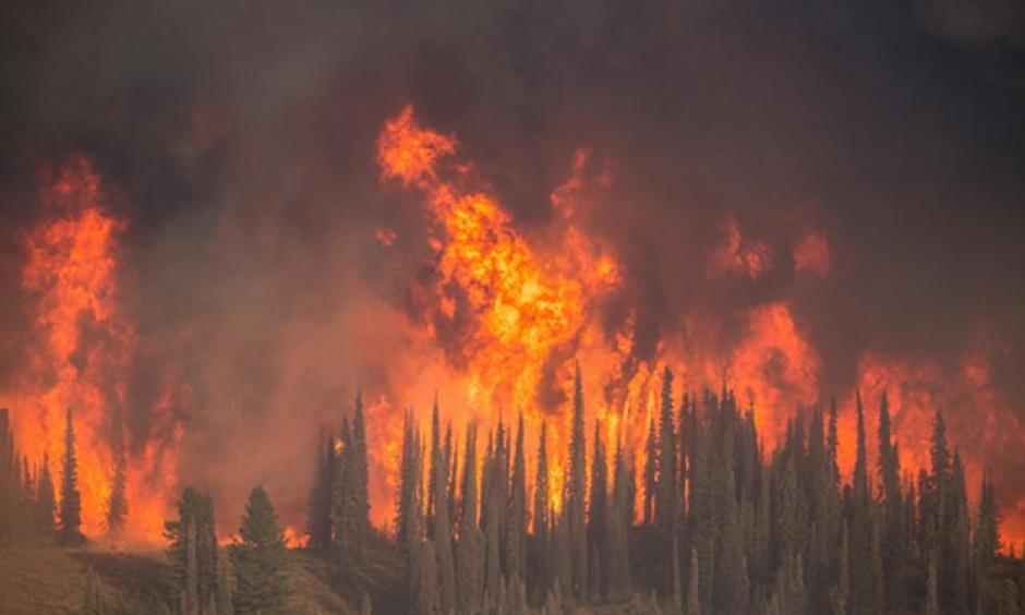 Boise National Forest. Photo: U.S. Forest Service