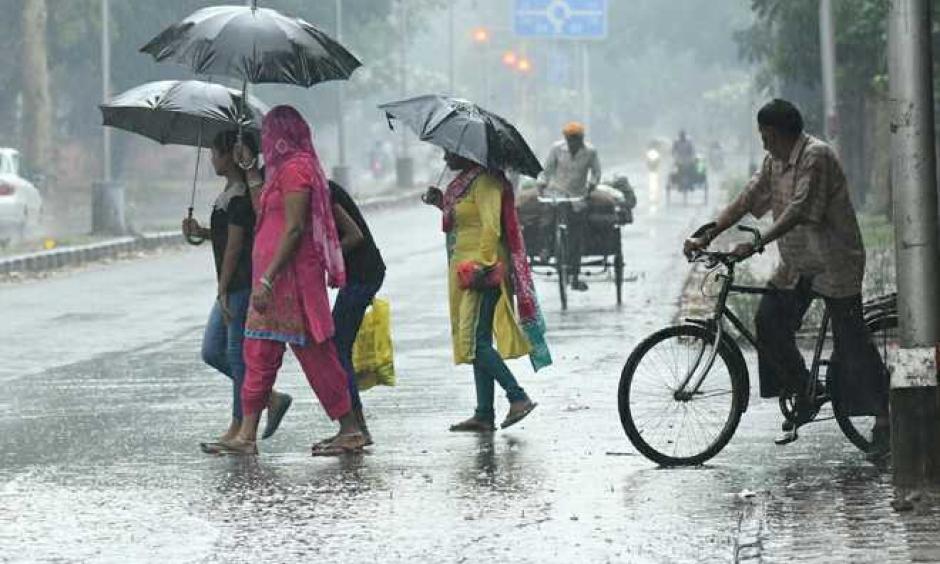 Photo: Tribune India News Service