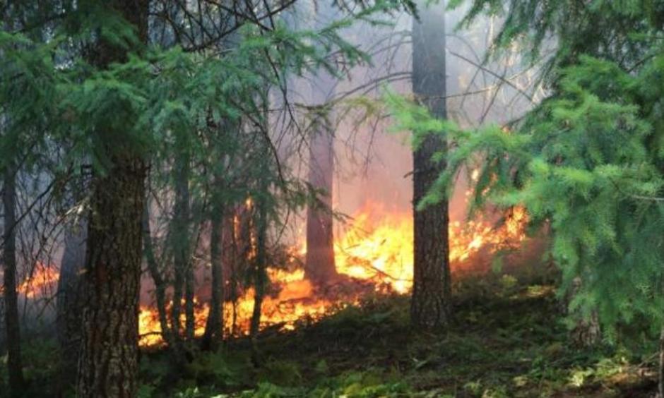 Whitewater Fire. Photo: Willamette National Forest