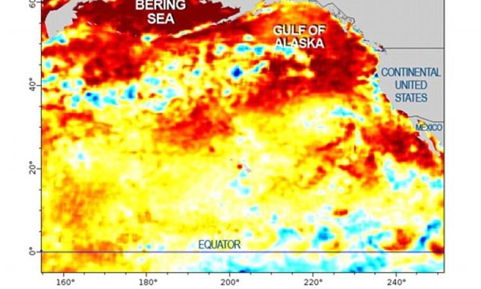 A blob of warm water 2 000 miles across is sitting in the Pacific. Photo: NOAA, NCDC