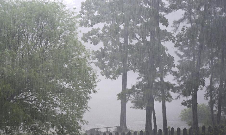 Heavy rain. Image: duckpond1, Flickr