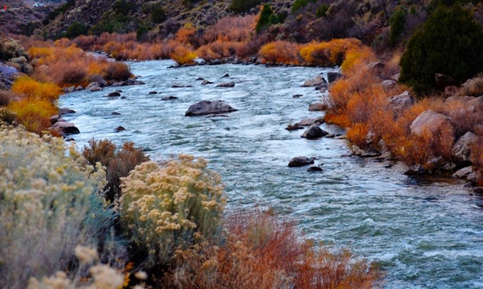 The Rio Grande as it flows south near Taos, New Mexico. The river begins in south-central Colorado and flows through New Mexico before entering Mexico and spilling into the Gulf of Mexico. Runoff into the Rio Grande this year is expected to be low. Photo: Robert Alexander, Getty Images