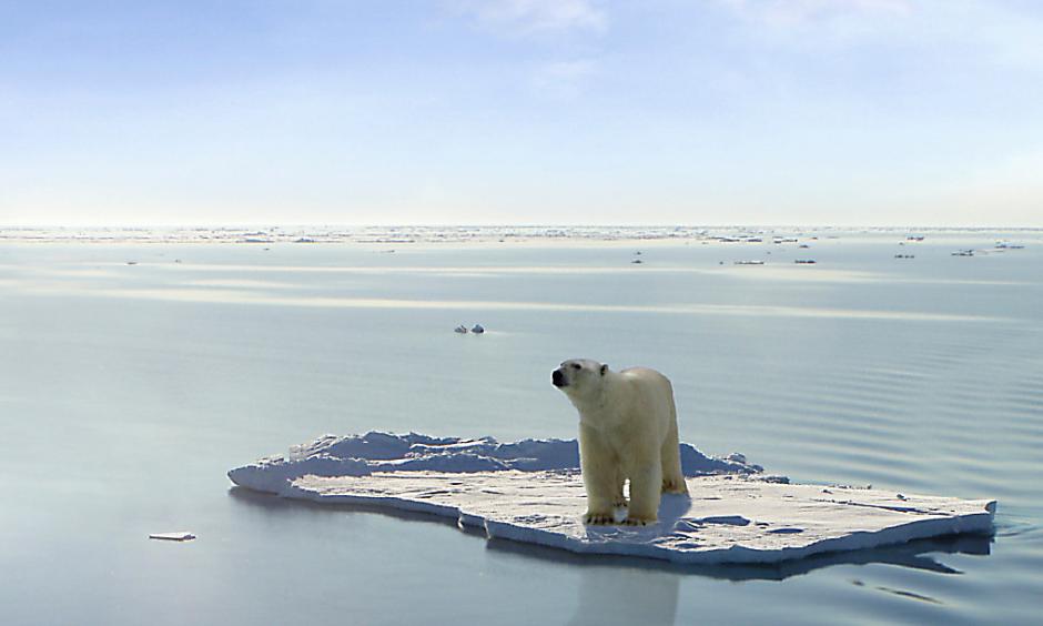 A polar bear managed to get on one of the last ice floes floating in the Arctic sea. Credit: Gerard Van der Leun, Flickr