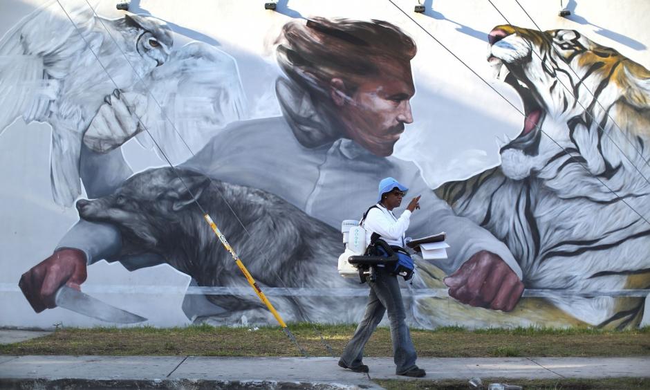 Sharon Nagel, a Miami-Dade County mosquito-control inspector, walks through the Wynwood neighborhood looking for mosquitoes or breeding areas. Photo: Joe Raedle, Getty Images
