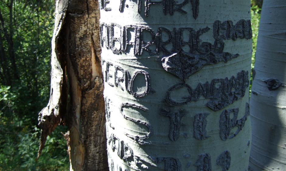 A Basque arborglyph found outside Boise, Idaho. Researchers are cataloging this record of American immigrant experience, etched into trees by sheep herders from the 1890s through the 1980s, but it’s a race against the clock. Photo: Boise State University Arborglyph Database