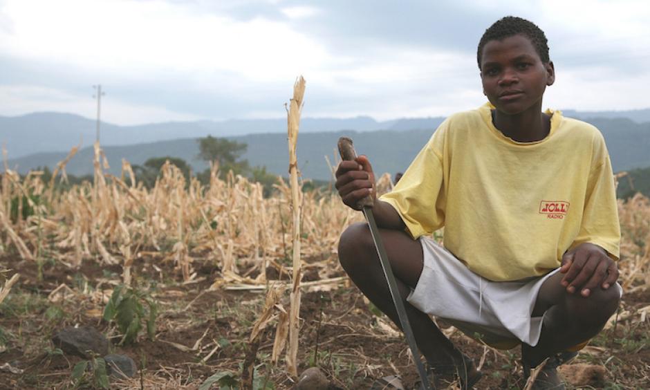 Countries like Ethiopia are vulnerable to drought. Photo: Kimberly Flowers, USAID