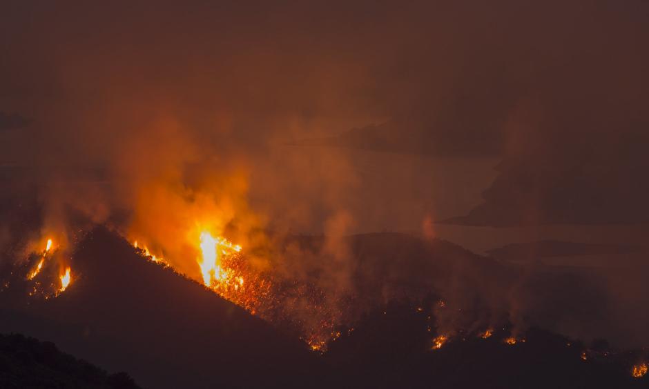 The Whittier fire burns next to Lake Cachuma on July 9 near Santa Barbara, California. Photo: David McNew, Getty Images
