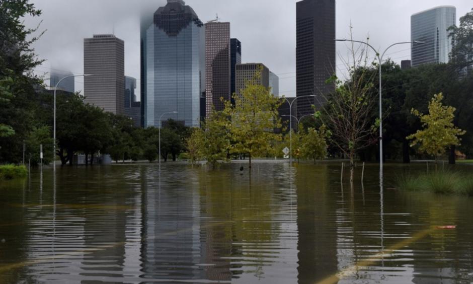 Photo: Nick Oxford, Reuters