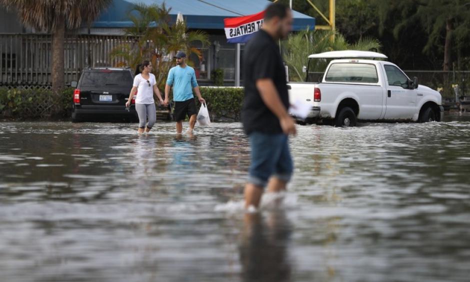 Last year’s November king tide in North Miami. Photo: Joe Raedle, Getty Images